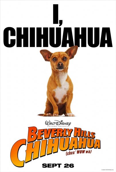 Beverly Hills Chihuahua poster