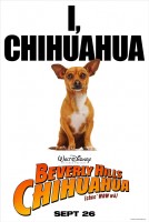 Beverly Hills Chihuahua poster