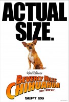 Beverly Hills Chihuahua poster