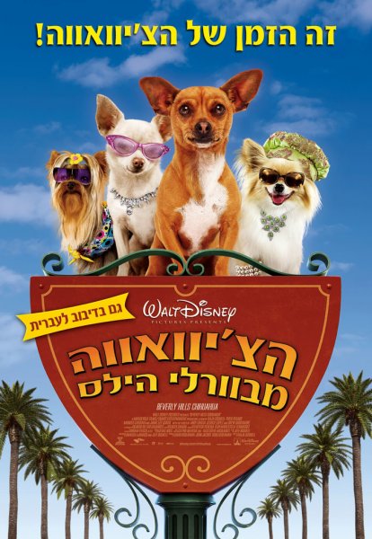 Beverly Hills Chihuahua poster