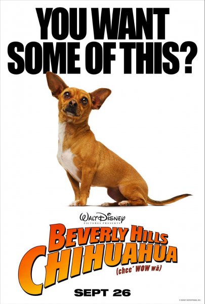 Beverly Hills Chihuahua poster Beverly Hills Chihuahua poster