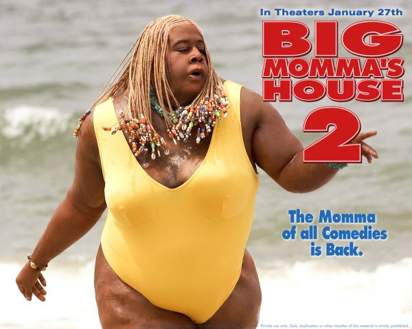 Big Momma's House 2 poster