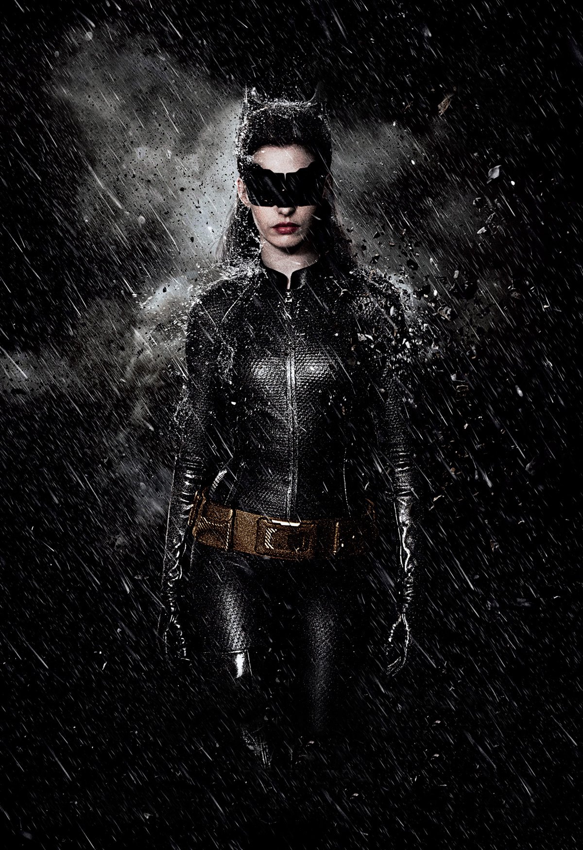 The Dark Knight Rises instal the new for windows The Dark Knight Rises instal the new for windows