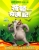 Dr. Seuss' Horton Hears a Who! poster