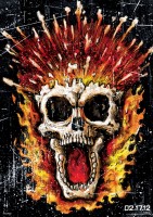 Ghost Rider: Spirit of Vengeance poster