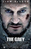 Grey, The poster