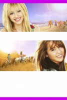 Hannah Montana The Movie poster