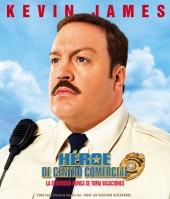 Paul Blart: Mall Cop poster