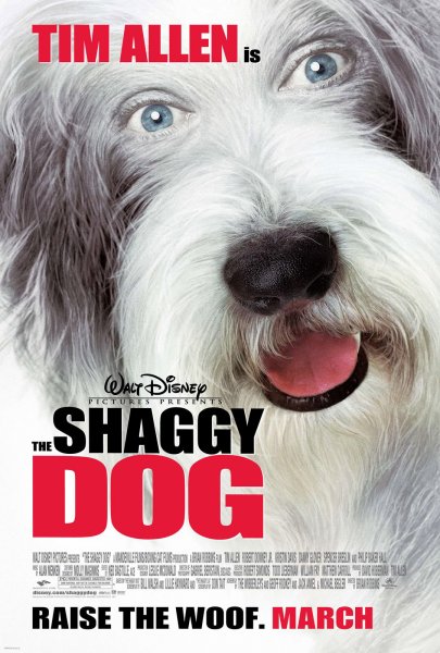 Shaggy Dog, The poster