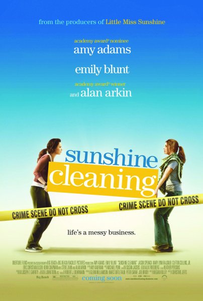 Sunshine Cleaning poster