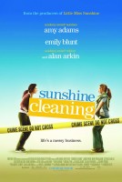 Sunshine Cleaning poster