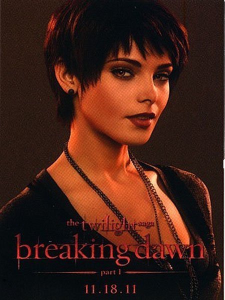 Twilight Saga: Breaking Dawn - Part 1, The poster