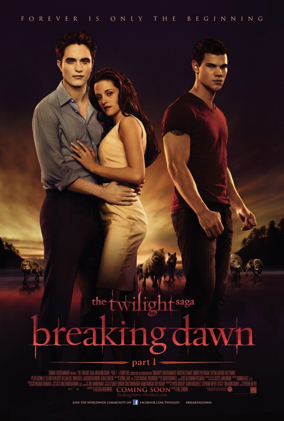 Twilight Saga Breaking Dawn Part 1