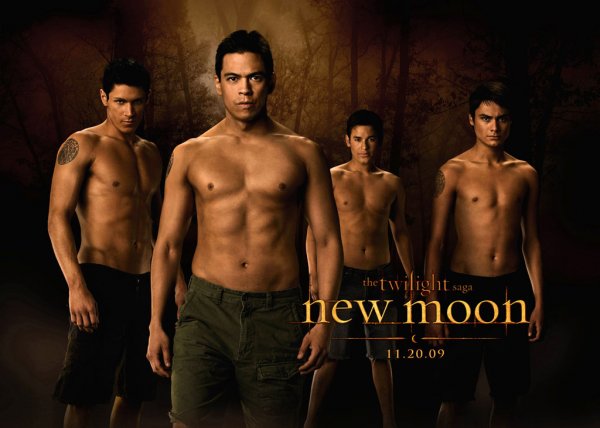 Twilight Saga: New Moon, The poster